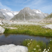 Unsere wilde Schweiz