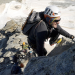 Bild 18