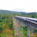 Train-Hopping um die Welt