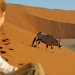 Namib