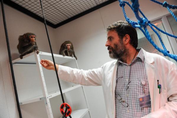 Bild 1 von 13: Im Bild: Con O?Neill (Dr. Bob Massey).