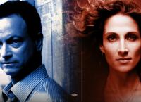CSI: New York