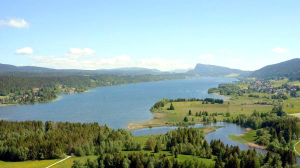 Bild 1 von 1: 