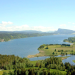 Wilde Schweiz