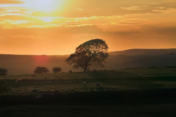 Bild 1 von 5: Abendstimmung im Northumberland Nationalpark.