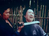 Kung Fu Zombie - Der Gorilla mit der stählernen Klaue