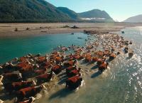 Mit dem Zug durch Neuseeland - Die Südinsel: Vom Pazifik in die Südalpen