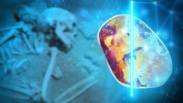 Bild 1 von 5: Durch neueste Vermessungstechnologie kommen Forscher den Routen der Bernsteinstraße näher.