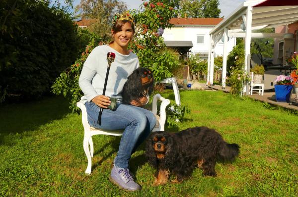 Bild 1 von 6: Die Vorfahren der Cavalier King Charles Spaniels waren Begleithunde des britischen Hochadels.