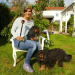 Anna und die Haustiere