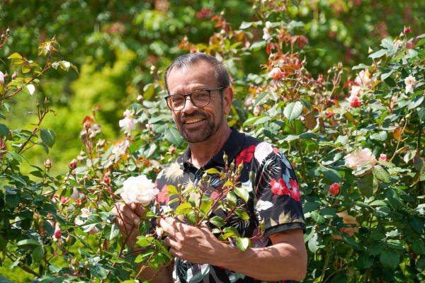 Bild 1 von 4: Im Bild: Im Sommer werden Rosenpflanzungen vielerorts durch Pilzbefall wie Mehltau, Rosenrost oder Sternrußtau unansehnlich. Karl Ploberger hat Tipps, wie dem vorgebeugt werden kann.