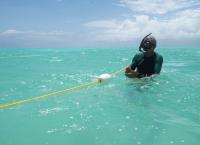 Die Meeresgärtner von Sansibar