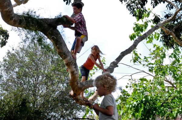 Bild 1 von 2: und ihr Lieblingsspielplatz: der Baum