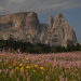 Wildes Italien