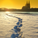 Als der Winter noch weiß war