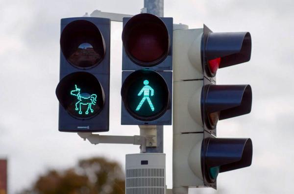 Bild 1 von 4: Die Stadt Schwäbisch Gmünd hat seit 750 Jahren das Einhorn als Wappentier und man kann es dort sogar auf Ampeln entdecken.