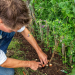 Rasch durch den Garten