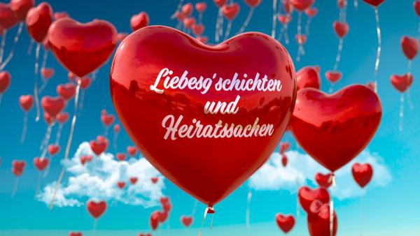 Bild 1 von 5: Signation \