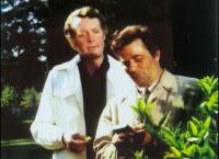 Columbo: Tod am Strand