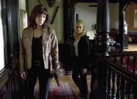 Irene Huss, Kripo Göteborg