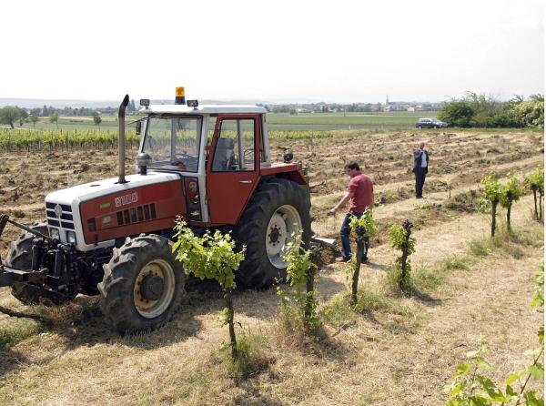 Bild 1 von 5: Damit \