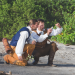 Bild 8
