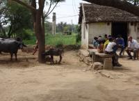 David Rocco s Dolce India