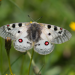 Abenteuer Wildnis