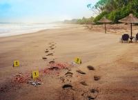 Spring Break Murders - Tod im Partyparadies