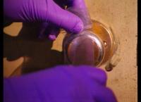 Medical Detectives - Geheimnisse der Gerichtsmedizin