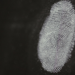 Auf der Spur des Verbrechens - Forensiker im Einsatz