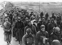 Der Zweite Weltkrieg