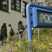 Billigkraft statt Babysitter