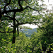 Der wilde Wald der Kaiserin