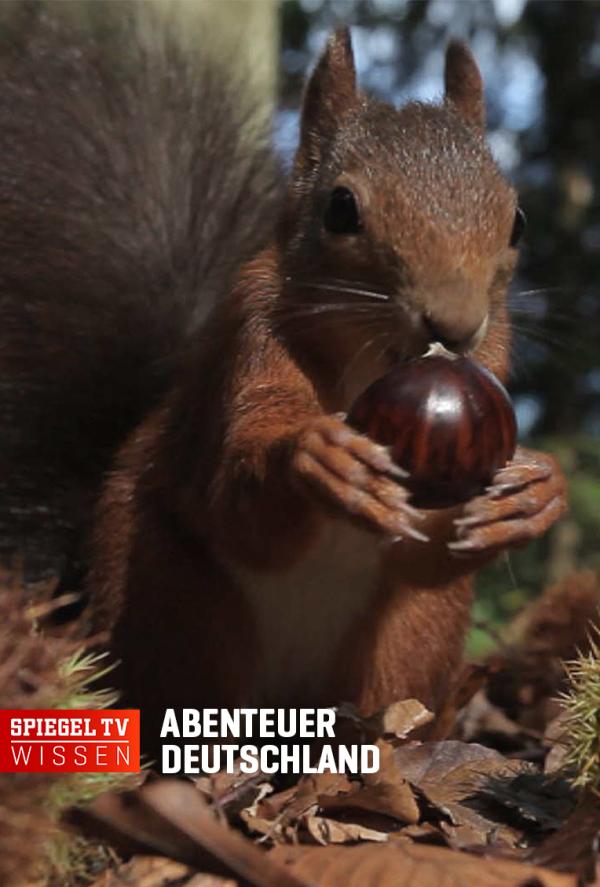Bild 1 von 2: .