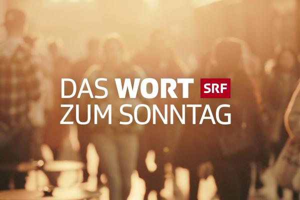 Bild 1 von 1: .