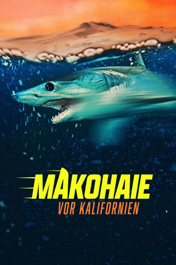 Bild 1 von 4: .
