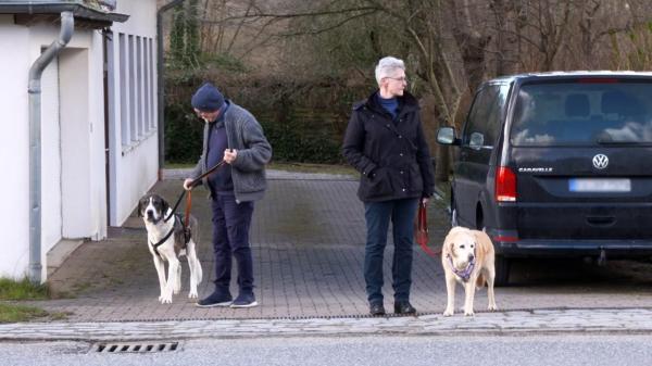 Bild 1 von 7: 