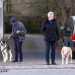 Die großen Hunde - Mit Martin Rütter