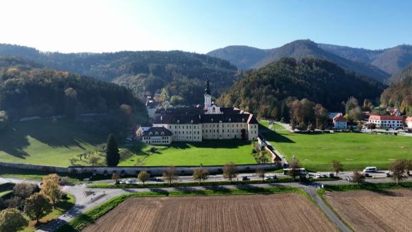 Bild 1 von 4: Im Bild: Stift Rein.