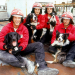 Bild 15