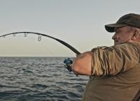 Giganten unter Wasser - Riesenfischen auf der Spur