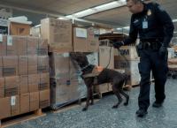 Airport Security USA