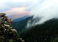 Amerikas Naturwunder: Great Smoky Mountains - Der Wald der Schwarzbären