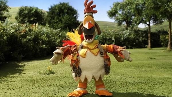 Bild 1 von 6: Ein komischer Vogel hat sich auf der Farm eingefunden. Woher der wohl kommt?