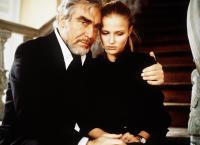 Das Erbe der Guldenburgs