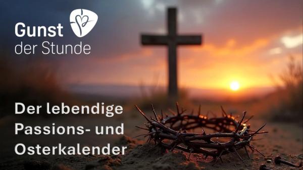 Bild 1 von 1: .