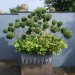 Alan Titchmarsh - Love your Home & Garden