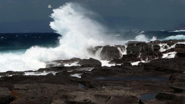 Bild 1 von 2: (Erstausstrahlung ARTE: 05.06.2012)