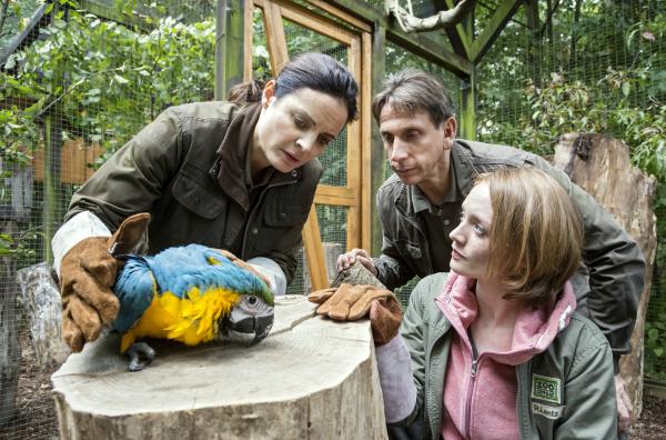 Bild 1 von 1: Tierärztin Dr. Mertens (Elisabeth Lanz, links), Chef-Tierpfleger Conny Weidner (Thorsten Wolf, Mitte) und Assistenz-Tierärztin Rebecca (Janina Stopper) sorgen sich um einen Gelbbrust-Ara.